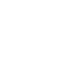 AI Development